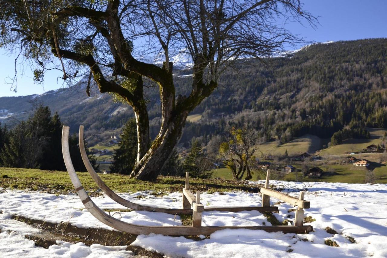Les Picaillons - Le Chalet Les Villards-sur-Thônes Kültér fotó